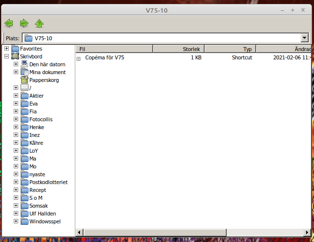 Skärmbild från 2021-02-06 16-09-16.png