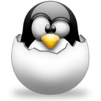 tux easteregg.jpg
