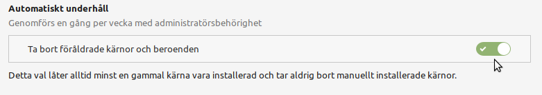 Automatisk städning.png