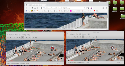 Skärmavbild vid 2022-07-07 19-28-14.png
