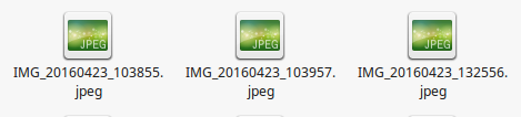 bilder.png