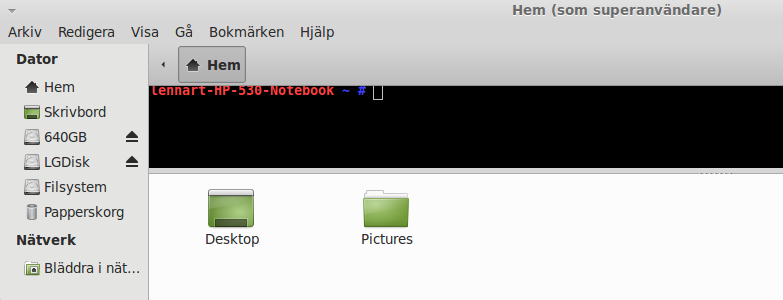 filbmedterminal.png